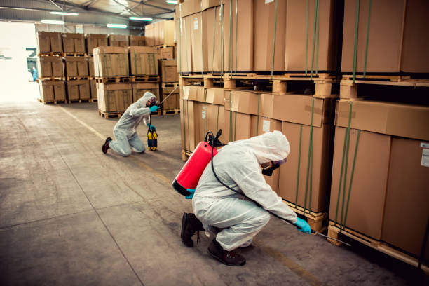 Trusted Lakeside, TX Pest Control Experts
