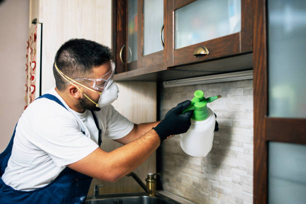 Best Pest Control for Restaurants  in Lakeside, TX