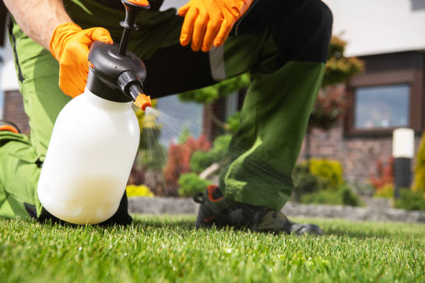 Best Mosquito Control Services  in Lakeside, TX