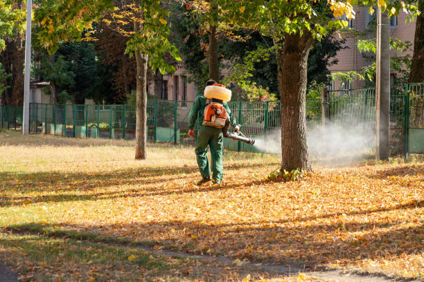 Pest Control for Restaurants in Lakeside, TX